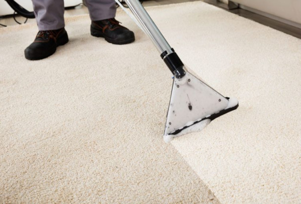 6 Ways to Deep Clean Carpet: A Complete Guide